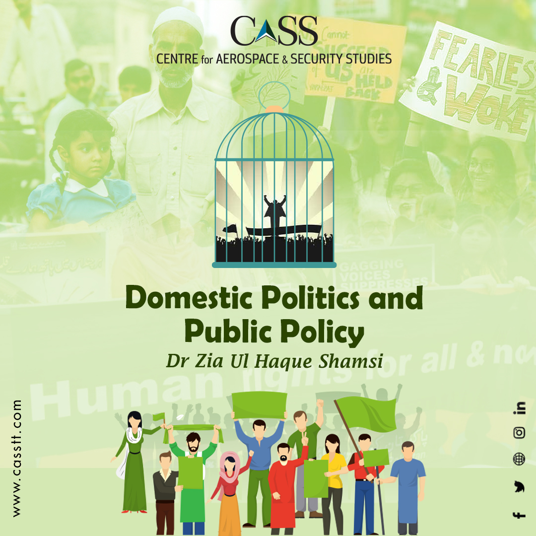 Read more about the article Domestic Politics and Public Policy