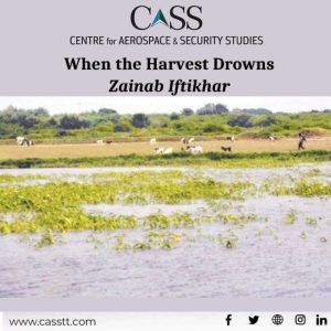 Read more about the article When the Harvest Drowns