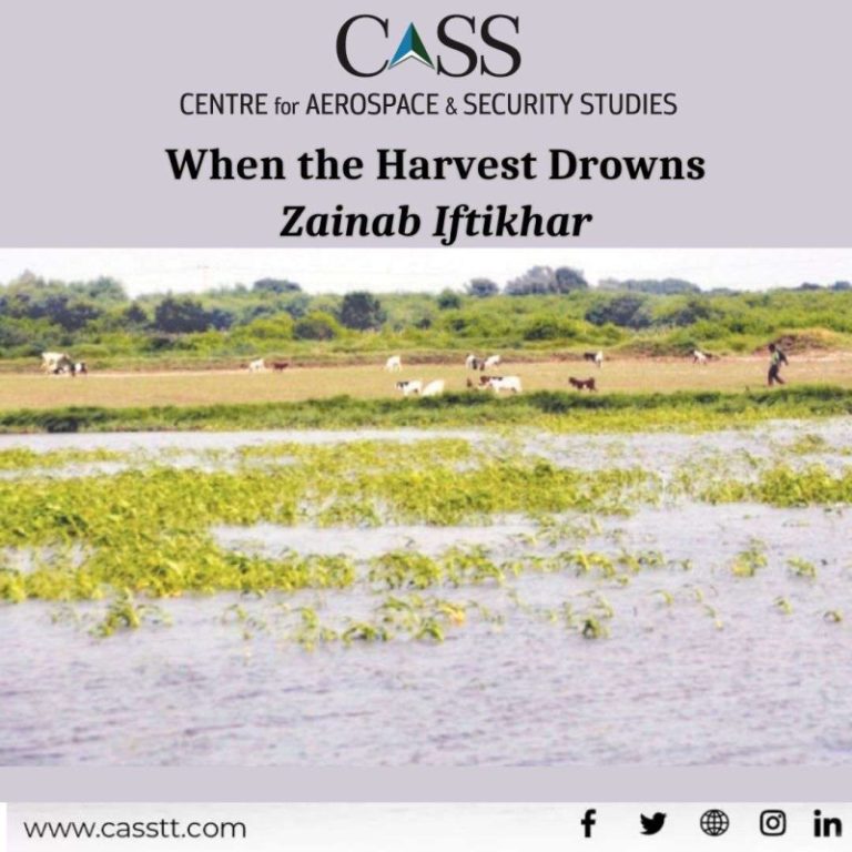 Read more about the article When the Harvest Drowns