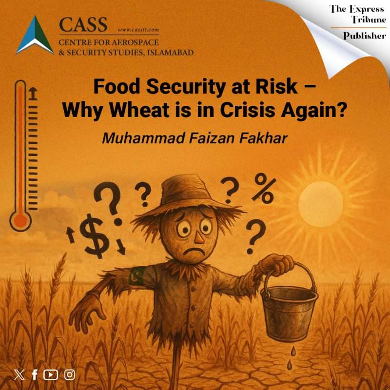 07. M Faizan fakhar-Wheat-Cri-Oped thumbnail-May-2025-AP (1)