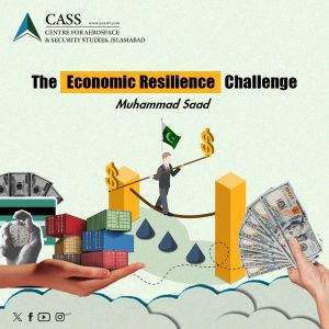 Read more about the article The Economic Resilience Challenge