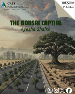Read more about the article The Bonsai Capital